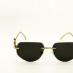 modello corso Francia