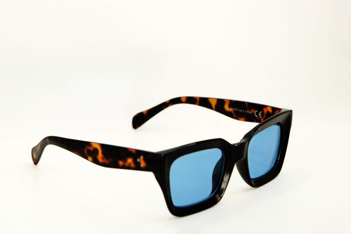 modello sampietrino X.2