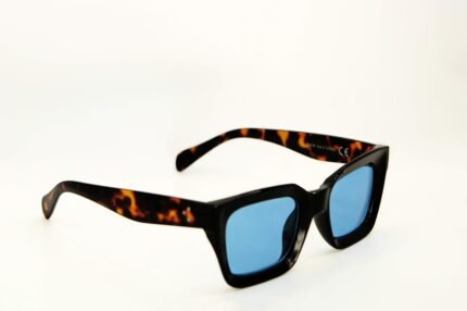 modello sampietrino X.2