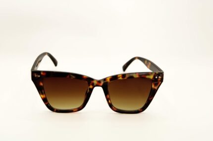 modello sampietrino X.2